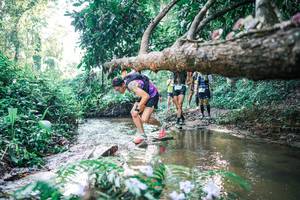 BIB: 
                            <button type="button" onclick="openModal(25435861)" class="btn btn-primary btn-sm float-right btn-popup" data-toggle="modal" data-target=".modal-high-quality">
                        <i class="fas fa-shopping-cart"></i> Add to Cart
                    </button>
                                            <button type="button" onclick="isThisMe(25435861, true)" class="btn btn-success btn-sm float-right btn-popup btn-isme hidden" data-toggle="tooltip" data-placement="bottom" title="นี่คือรูปของคุณใช่ไหม คลิกที่นี่เพื่อเอาเข้าอัลบั้ม">
                        <i class="fas fa-plus"></i> Add to album
                    </button>
                    <button type="button" onclick="isThisMe(25435861, false)" class="btn btn-warning btn-sm float-right btn-popup btn-isnotme hidden">
                        <i class="fas fa-ban"></i> Remove from album
                    </button>